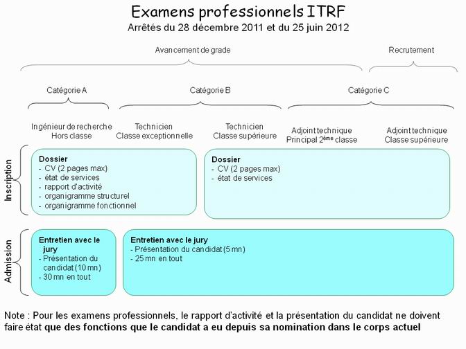 IRTF : examens profesionnels